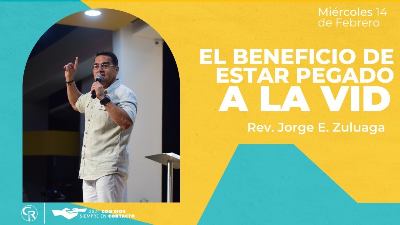 El beneficio de estar pegado a la vid