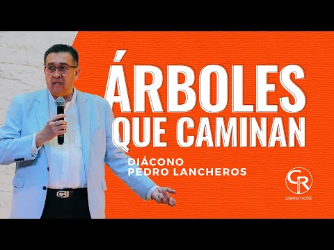 ÁRBOLES QUE CAMINAN