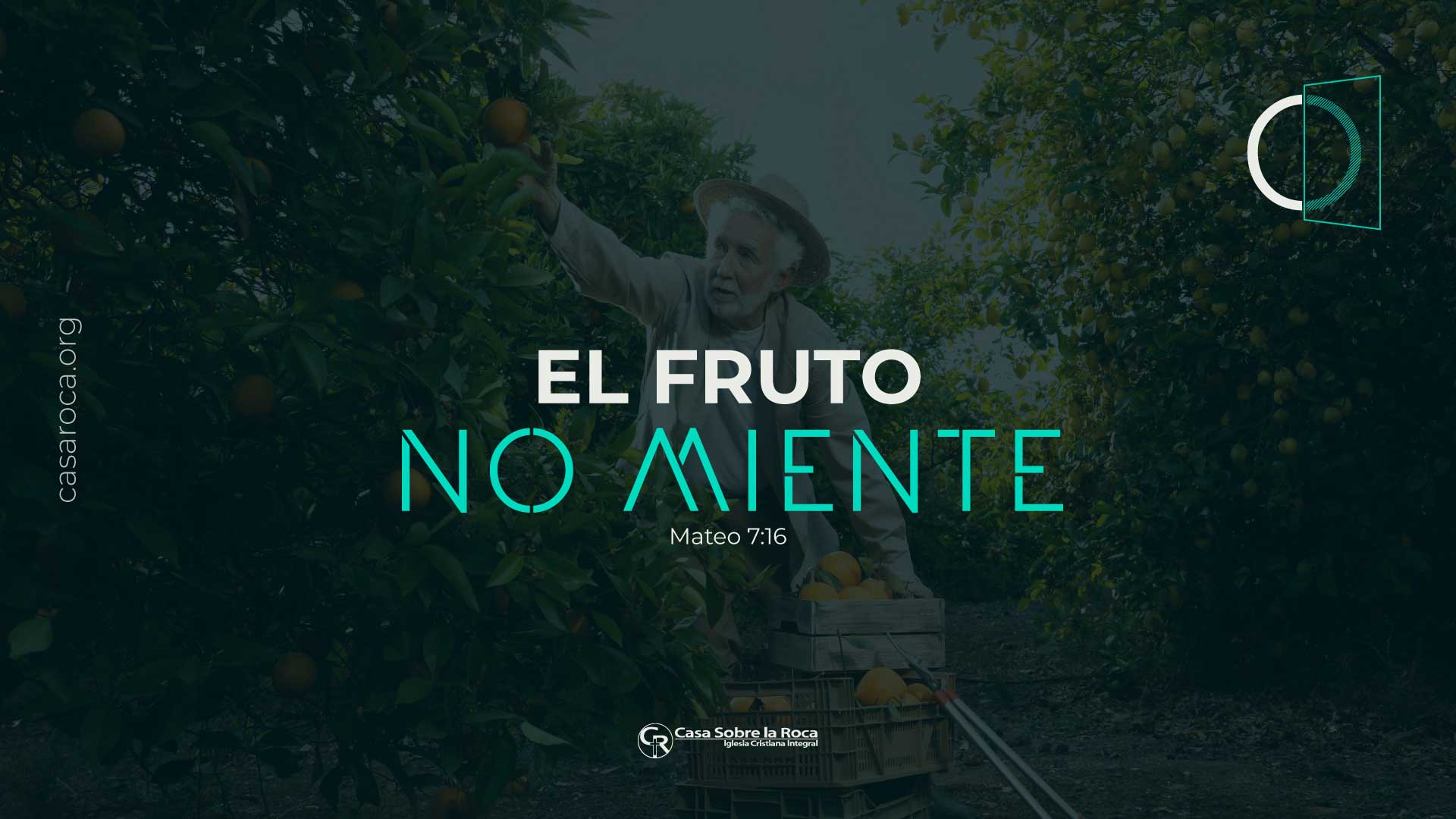 Conoce a los demás por sus Frutos