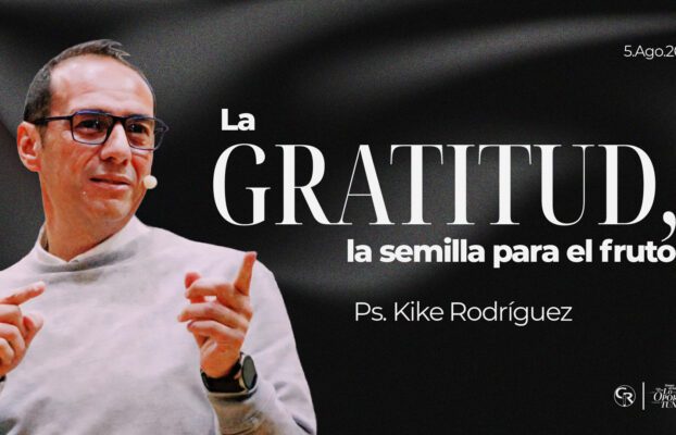 La gratitud, la semilla para el fruto